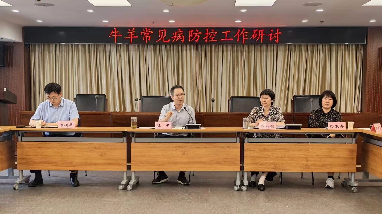 研讨1.jpg