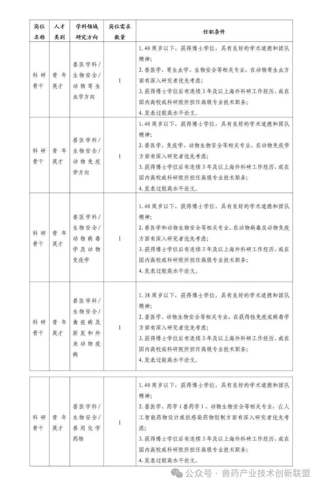 上海2.jpg