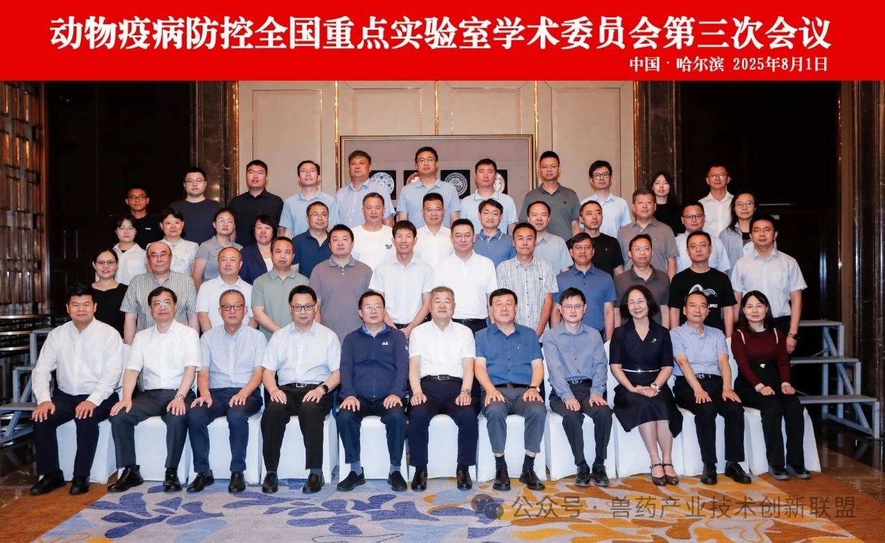 哈.jpg
