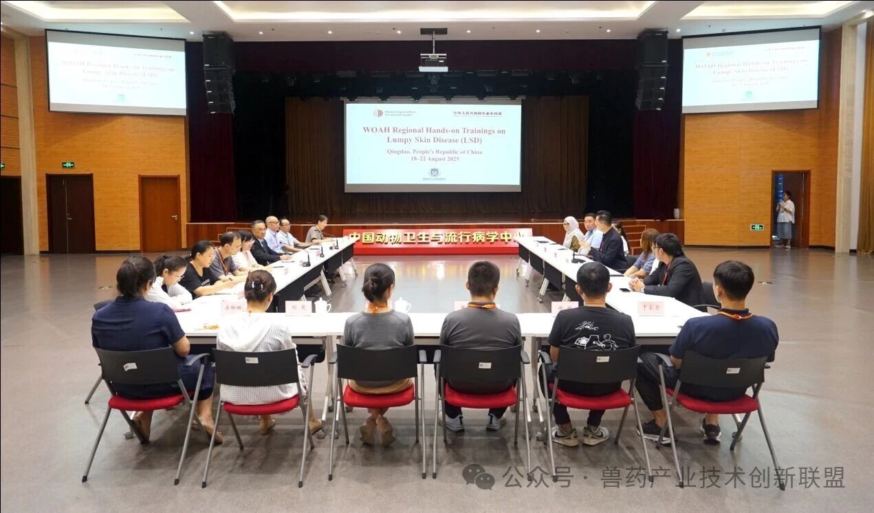 微信图片_2025-08-29_174405_978.jpg